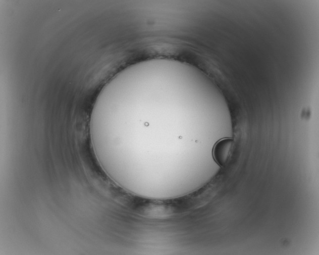 X0000113070464200909182029