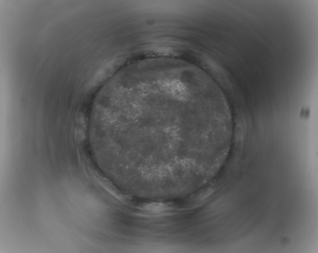 X0000113070465200909182029