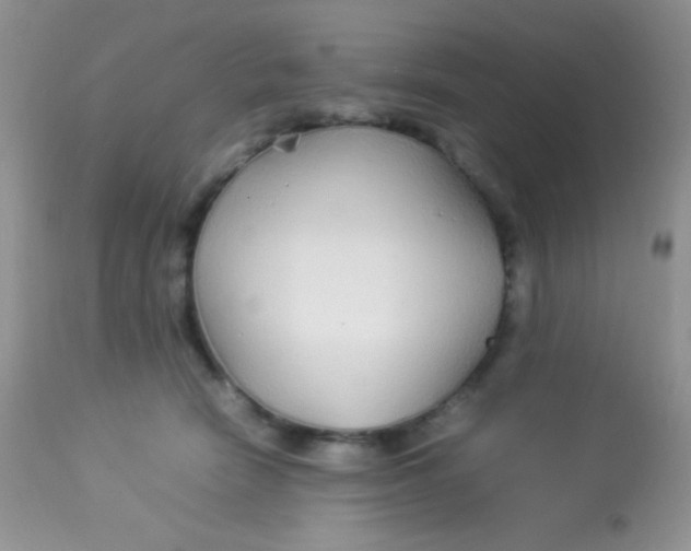 X0000113070466200909182029