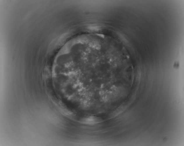 X0000113070467200909182029