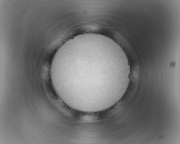 X0000113070468200909182029