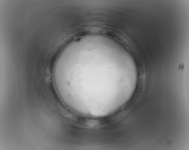 X0000113070469200909182029