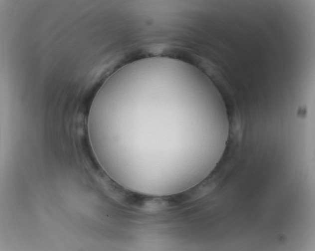 X0000113070470200909182029