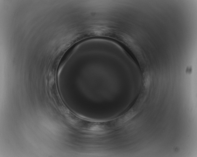 X0000113070471200909182029