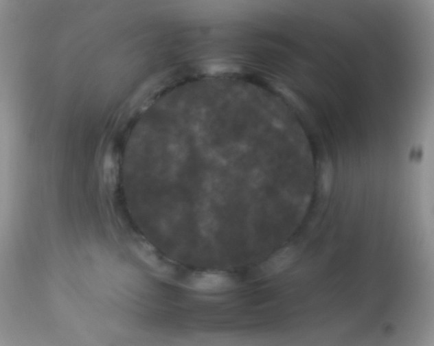 X0000113070475200909182029