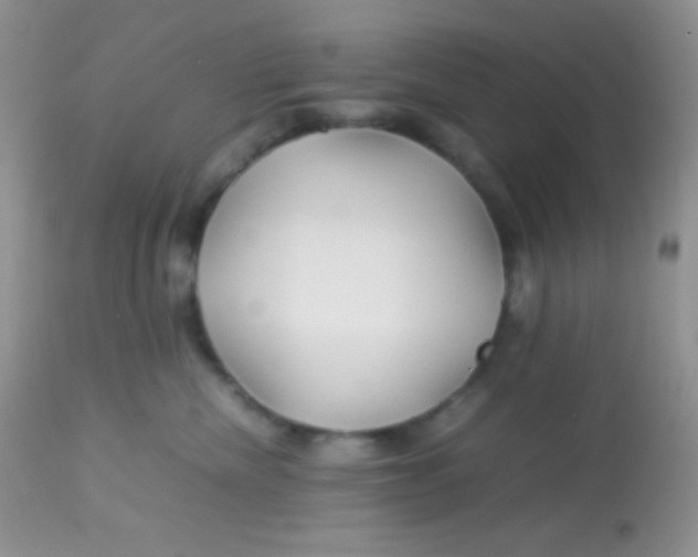 X0000113070476200909182029