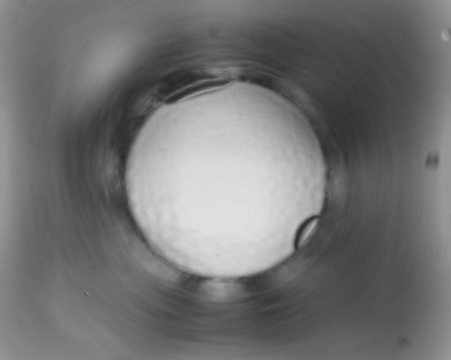 X0000113070477200909182029