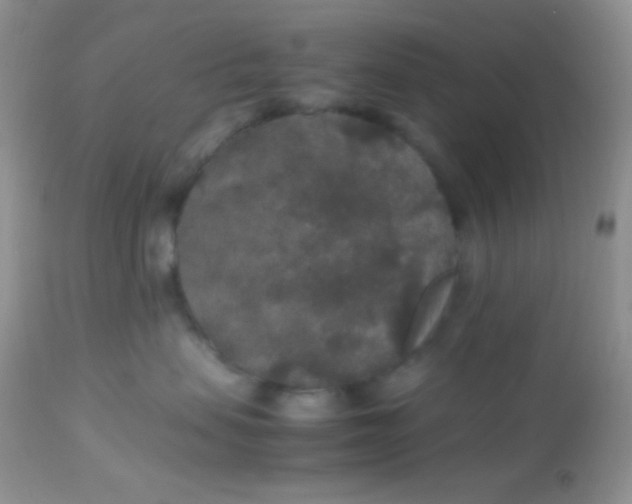 X0000113070479200909182029