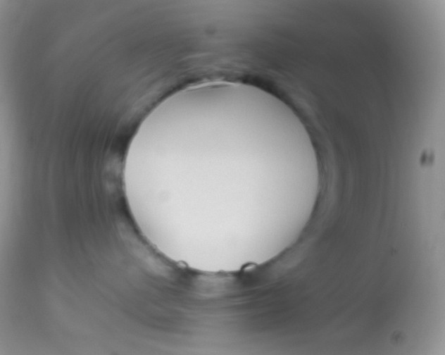 X0000113070480200909182029