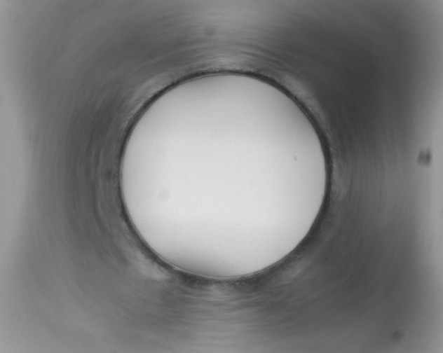 X0000113070481200909182028