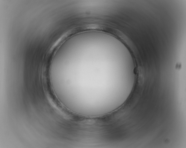 X0000113070482200909182028