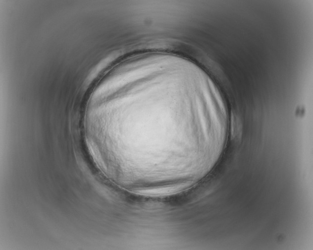 X0000113070483200909182028