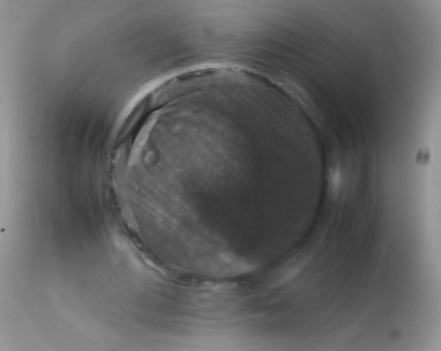 X0000113070484200909182028