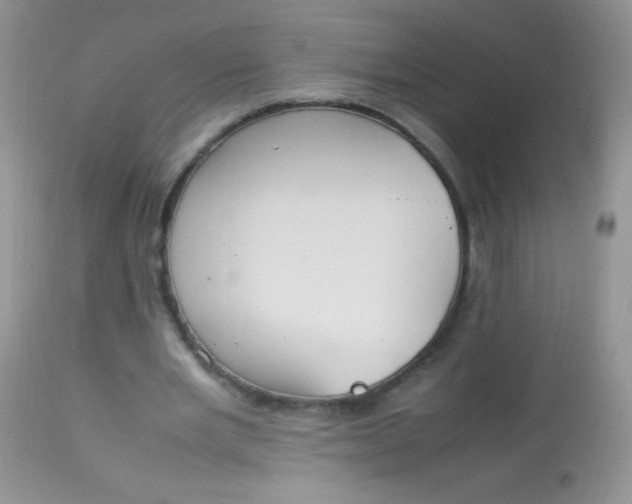 X0000113070485200909182028