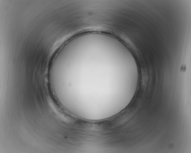 X0000113070486200909182028