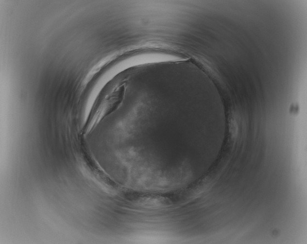 X0000113070488200909182028