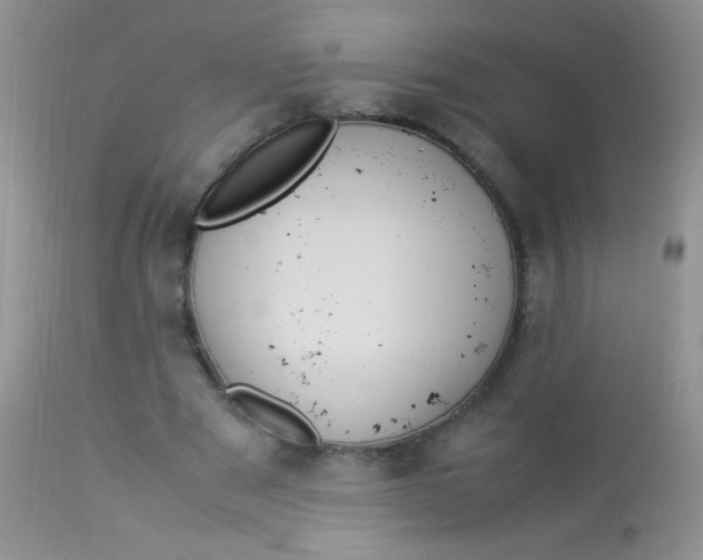 X0000113070489200909182028