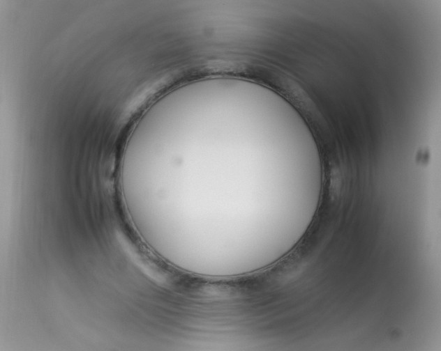 X0000113070490200909182028