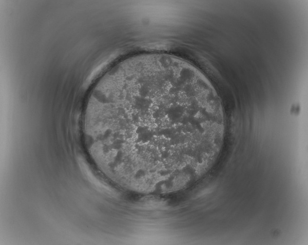 X0000113070491200909182028