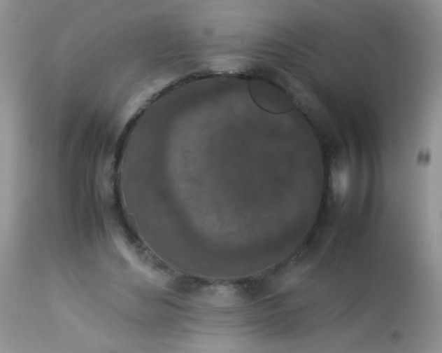 X0000113070492200909182028