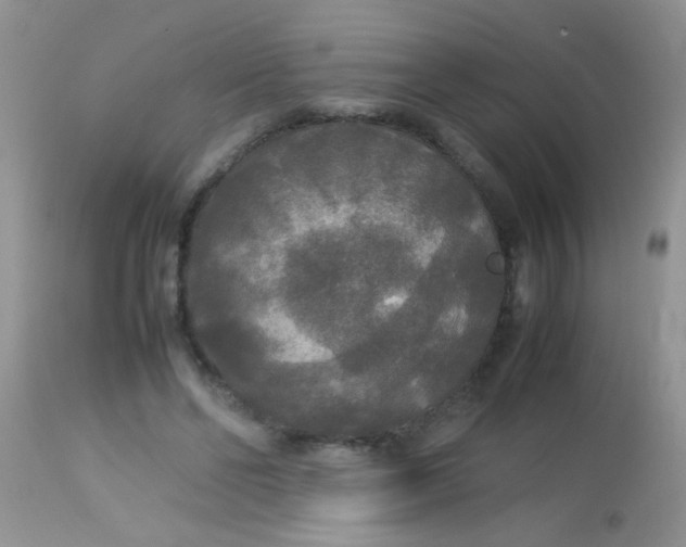 X0000113070494200909182028