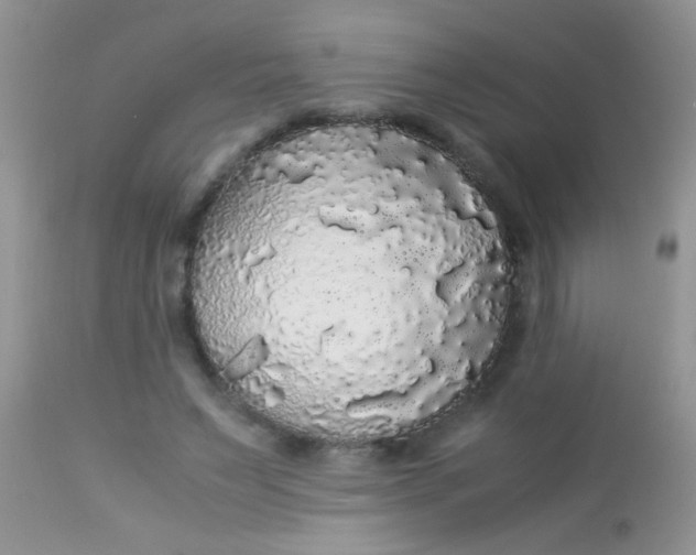 X0000113070495200909182028