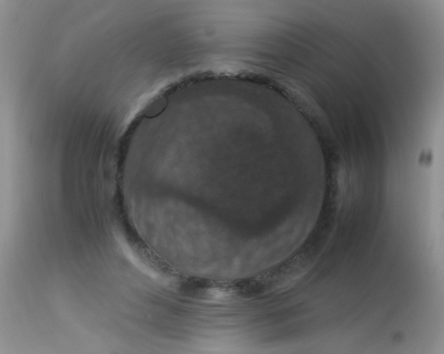 X0000113070496200909182028