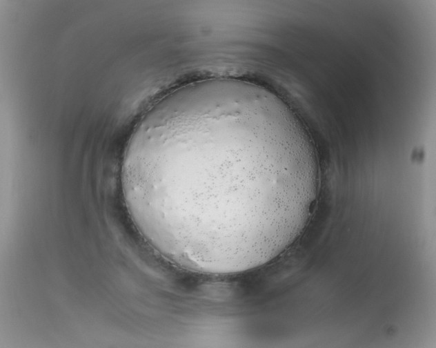 X0000113070499200909182028