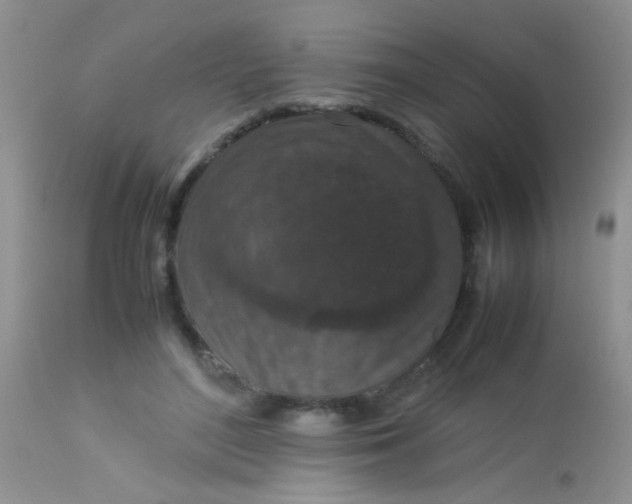 X0000113070500200909182028