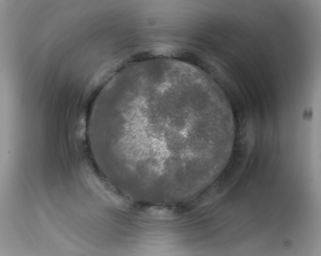 X0000113070502200909182028