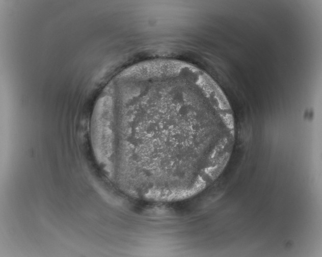 X0000113070503200909182028