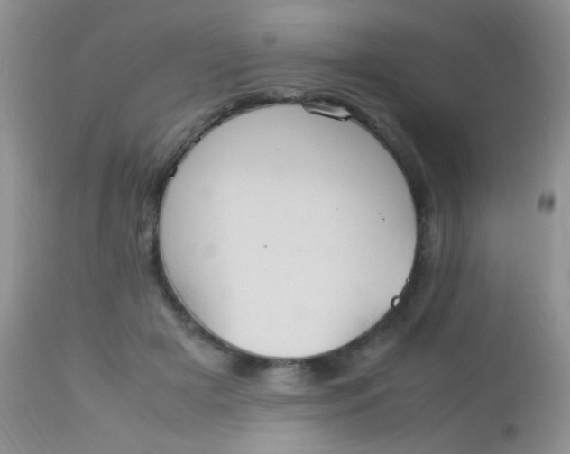 X0000113070505200909182028