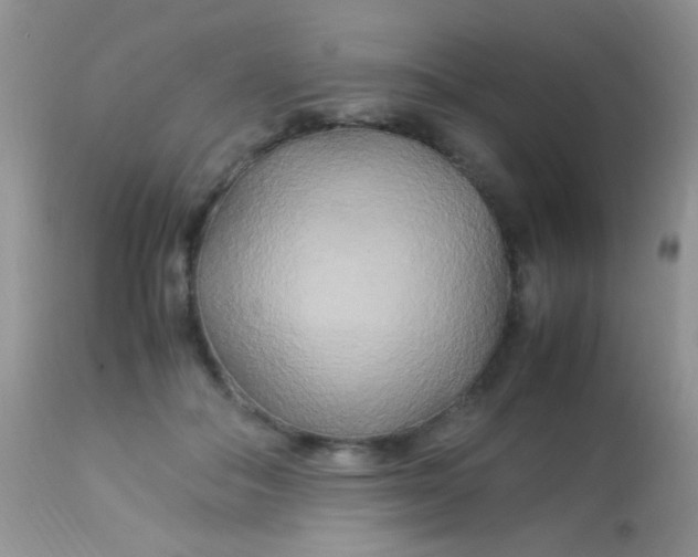 X0000113070506200909182028