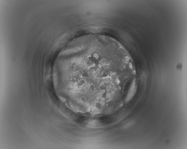 X0000113070507200909182028