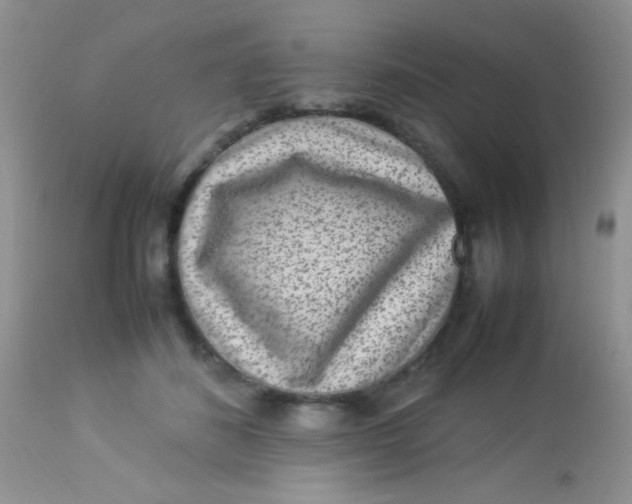 X0000113070508200909182028