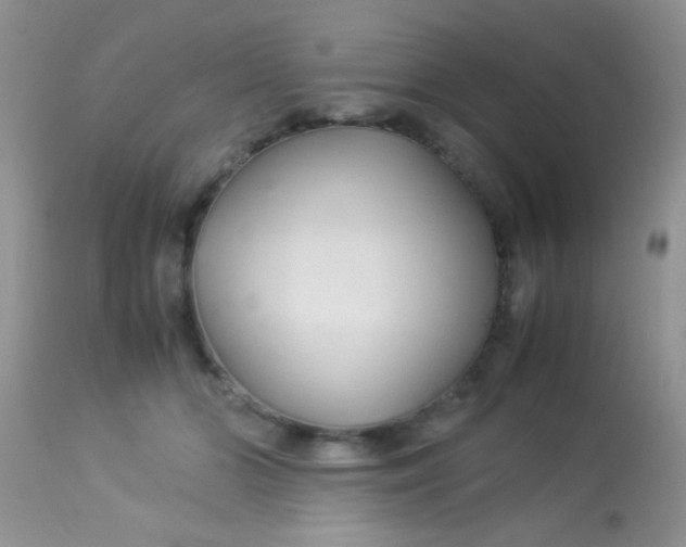 X0000113070510200909182028