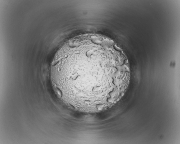 X0000113070511200909182028