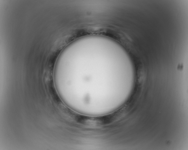 X0000113070515200909182028