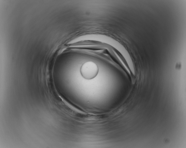 X0000113070516200909182028