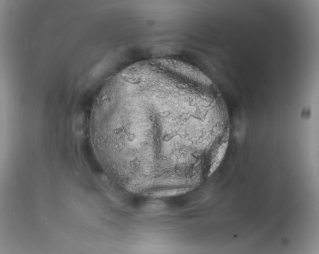 X0000113070519200909182027