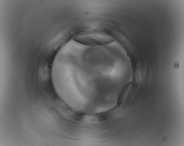 X0000113070520200909182027