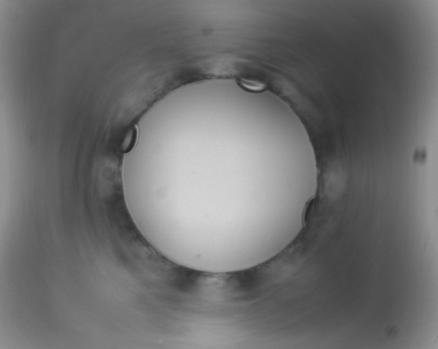 X0000113070521200909182027