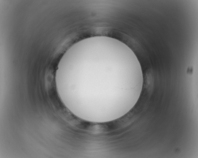 X0000113070522200909182027