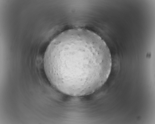 X0000113070523200909182027