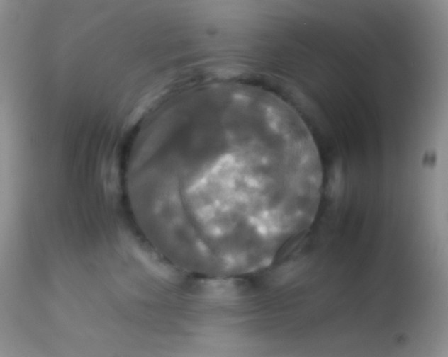 X0000113070524200909182027