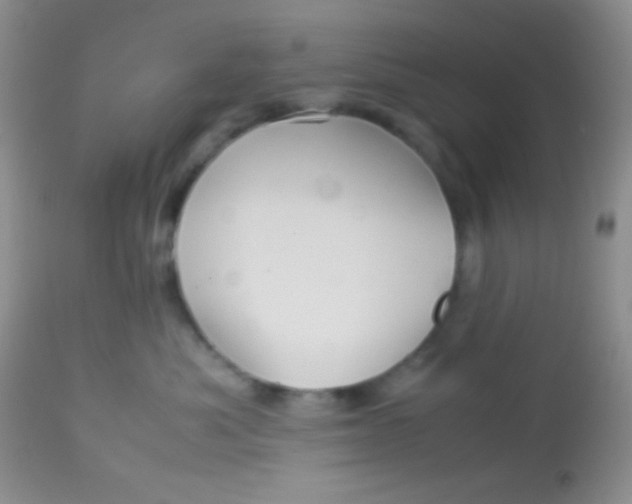 X0000113070525200909182027