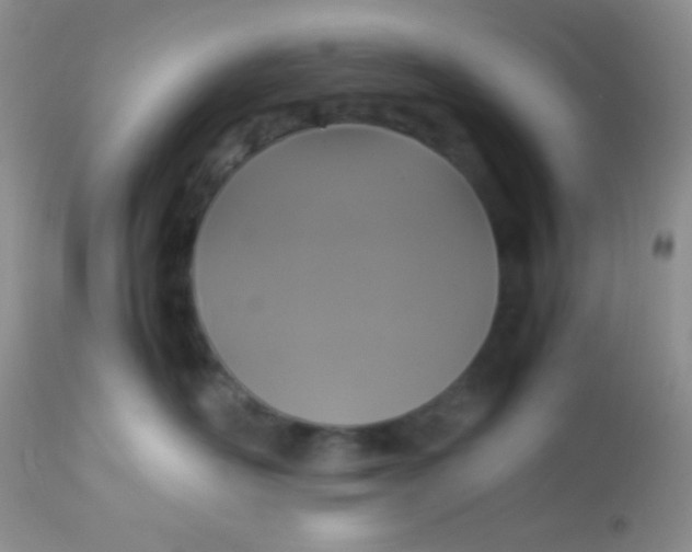 X0000113070526200909182027