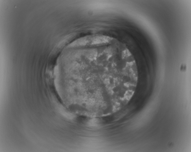 X0000113070527200909182027