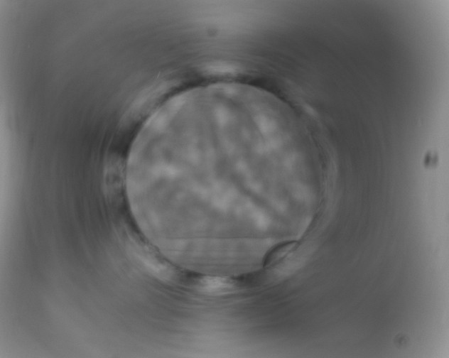 X0000113070528200909182027