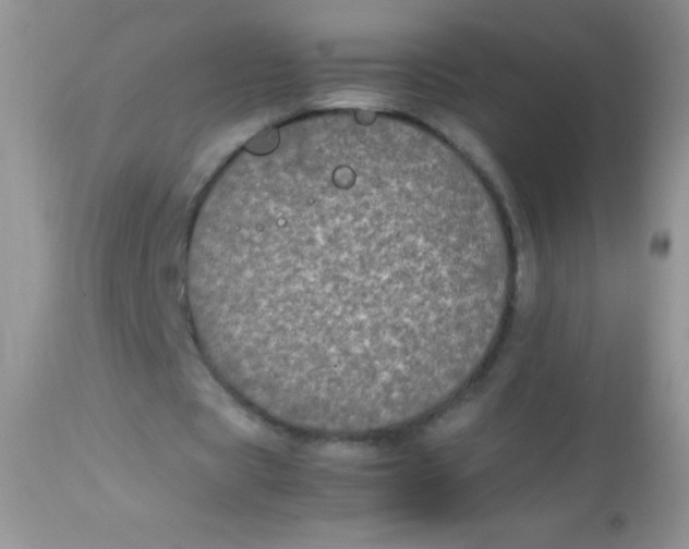 X0000113070529200909182027